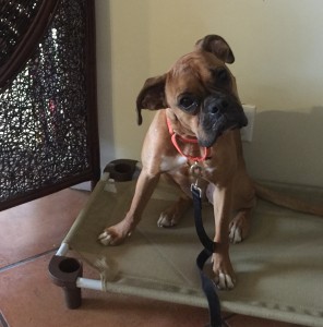 FullSizeRender(2)