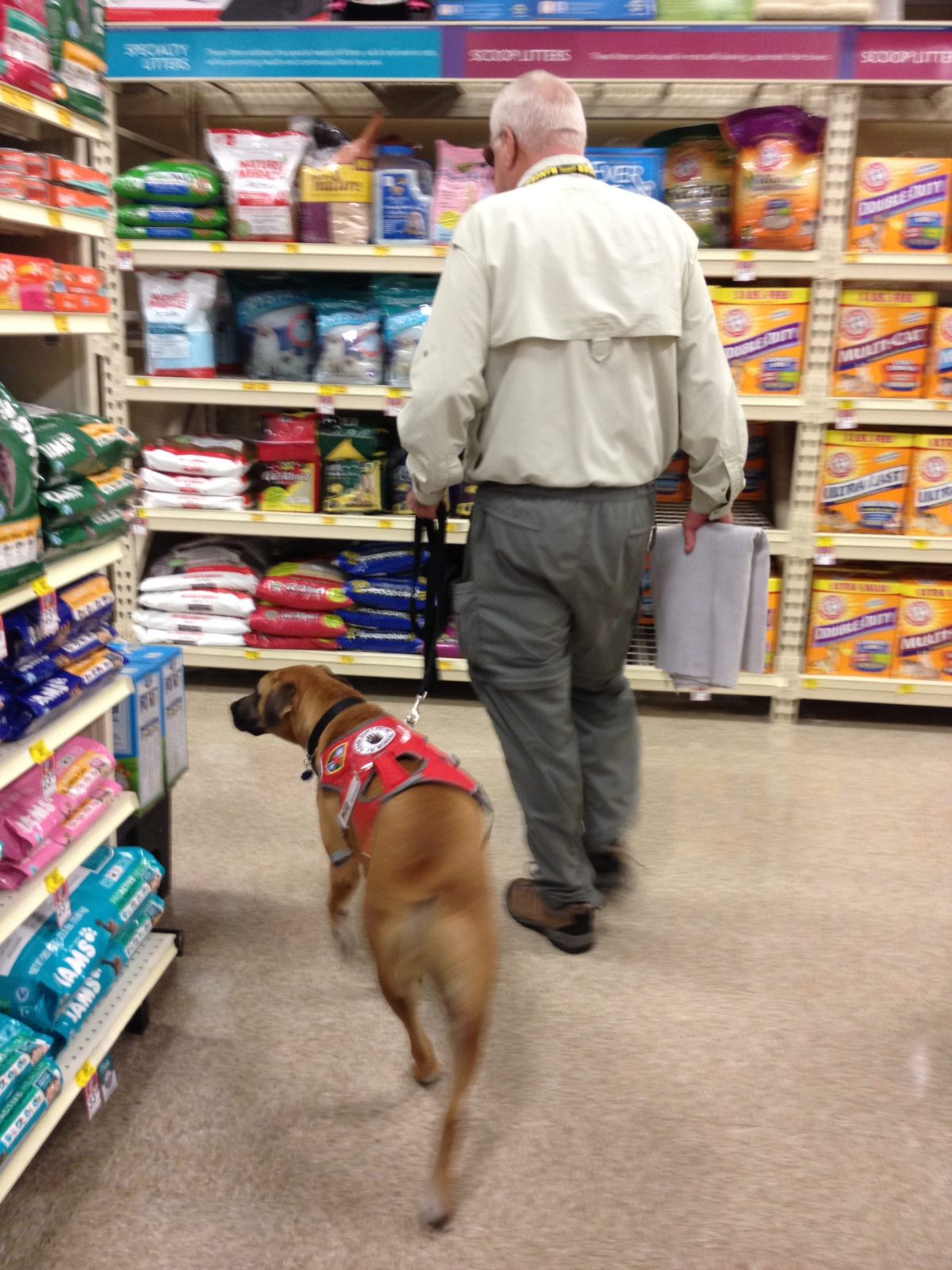 Service Dog Training